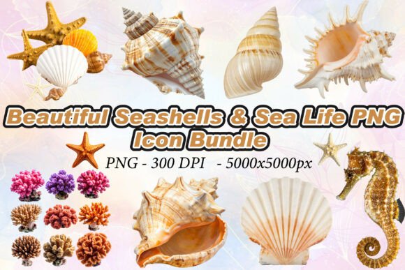 Beautiful Seashells Sea Life PNG Collection