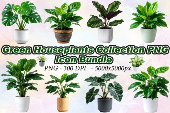 Elevate Your Visual Identity with the Green Houseplants Collection PNG