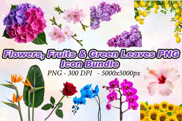 Flowers, Fruits Green Leaves PNG: A Guide to High-Resolution 3D Assets