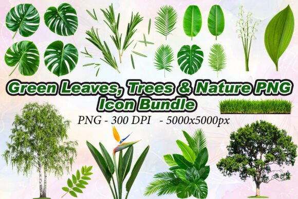 Green Leaves, Trees Nature PNG: Elevating Design with High-Resolution 3D Assets