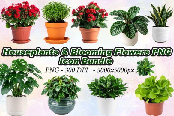 Houseplants Blooming Flowers PNG: Vibrant 3D Assets